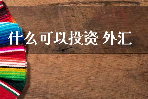 什么可以投资 外汇_https://wap.sdxiaoxijinshu.com_财经_第1张