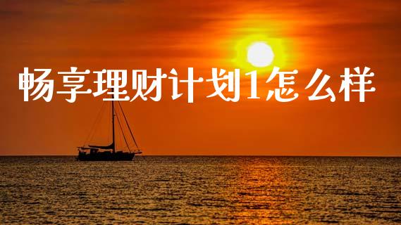 畅享理财计划1怎么样_https://wap.sdxiaoxijinshu.com_理财_第1张