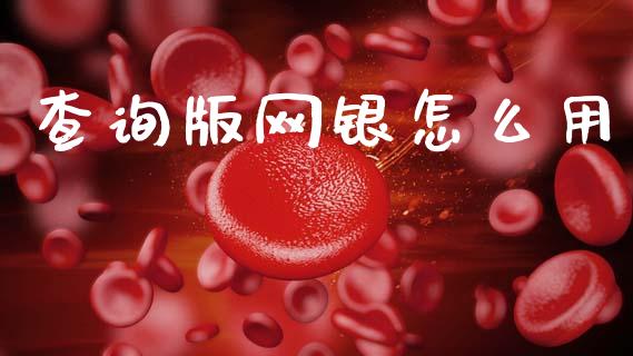 查询版网银怎么用_https://wap.sdxiaoxijinshu.com_金融_第1张