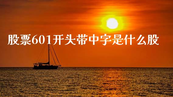 股票601开头带中字是什么股_https://wap.sdxiaoxijinshu.com_期货_第1张