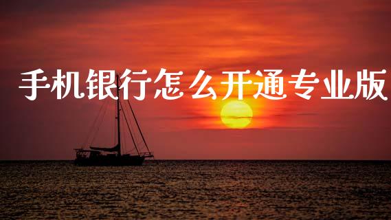 手机银行怎么开通专业版_https://wap.sdxiaoxijinshu.com_金融_第1张