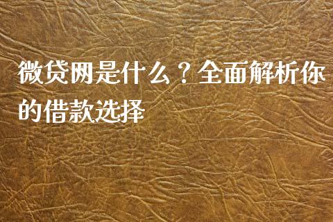 微贷网是什么？全面解析你的借款选择_https://wap.sdxiaoxijinshu.com_理财_第1张