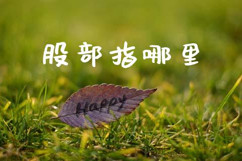 股部指哪里_https://wap.sdxiaoxijinshu.com_财经_第1张