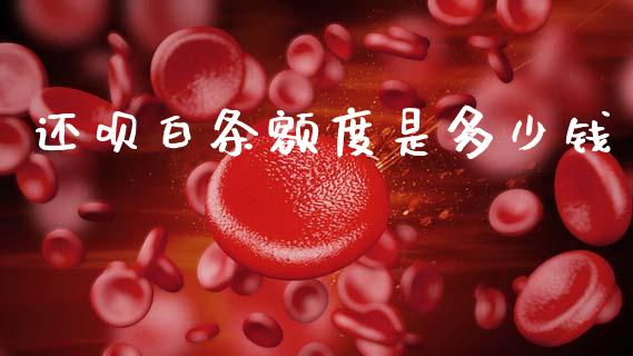 还呗白条额度是多少钱_https://wap.sdxiaoxijinshu.com_理财_第1张