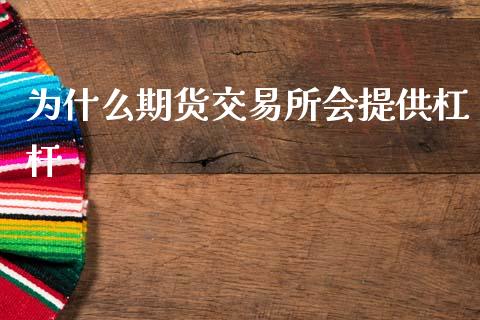 为什么期货交易所会提供杠杆_https://wap.sdxiaoxijinshu.com_理财_第1张