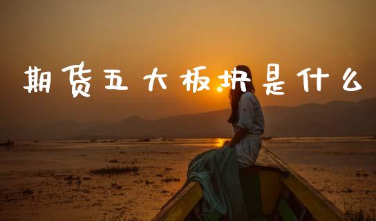 期货五大板块是什么_https://wap.sdxiaoxijinshu.com_期货_第1张