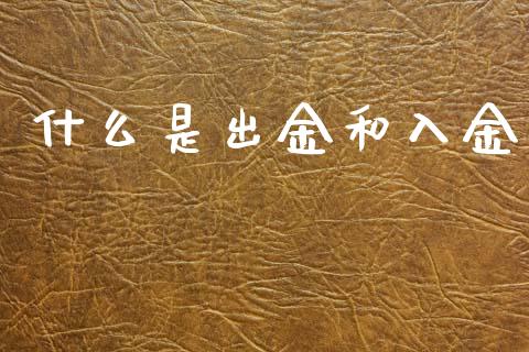 什么是出金和入金_https://wap.sdxiaoxijinshu.com_财经_第1张