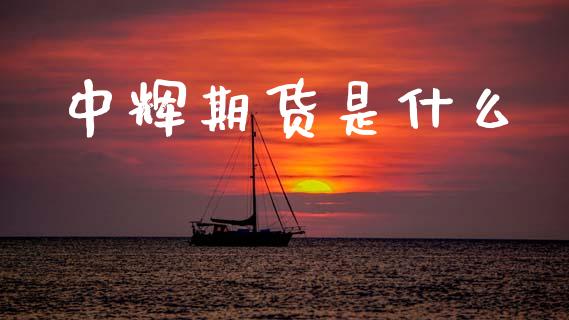 中辉期货是什么_https://wap.sdxiaoxijinshu.com_财经_第1张