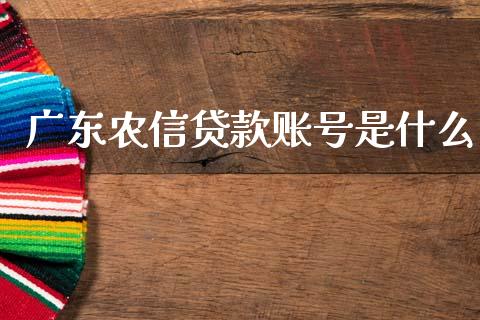 广东农信贷款账号是什么_https://wap.sdxiaoxijinshu.com_金融_第1张