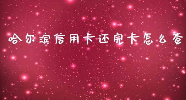 哈尔滨信用卡还完卡怎么查_https://wap.sdxiaoxijinshu.com_金融_第1张