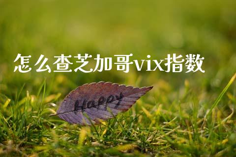 怎么查芝加哥vix指数_https://wap.sdxiaoxijinshu.com_金融_第1张