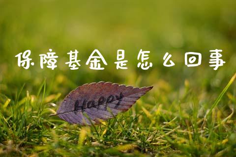 保障基金是怎么回事_理财_第1张_金融万问站 保障基金是怎么回事_https://wap.sdxiaoxijinshu.com_理财_第1张