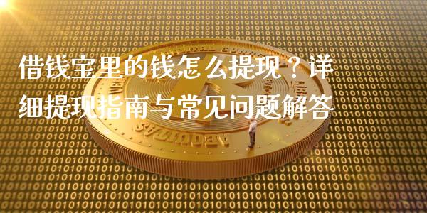 借钱宝里的钱怎么提现？详细提现指南与常见问题解答_https://wap.sdxiaoxijinshu.com_理财_第1张