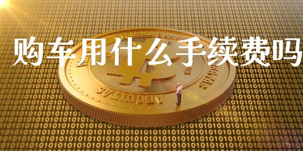 购车用什么手续费吗_https://wap.sdxiaoxijinshu.com_理财_第1张