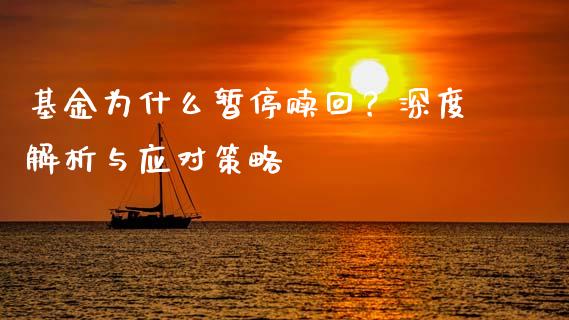 基金为什么暂停赎回？深度解析与应对策略_https://wap.sdxiaoxijinshu.com_理财_第1张