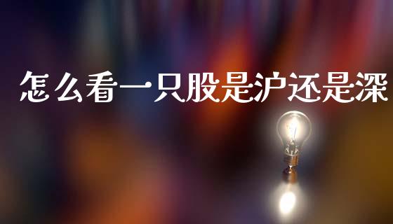 怎么看一只股是沪还是深_https://wap.sdxiaoxijinshu.com_理财_第1张
