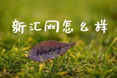 新汇网怎么样_https://wap.sdxiaoxijinshu.com_财经_第1张
