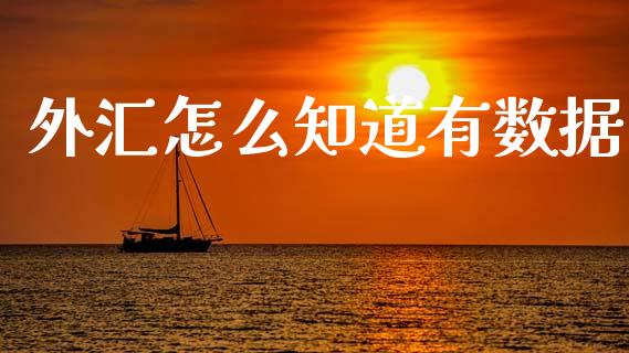 外汇怎么知道有数据_https://wap.sdxiaoxijinshu.com_财经_第1张