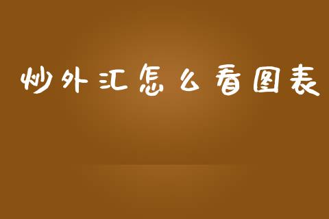 炒外汇怎么看图表_https://wap.sdxiaoxijinshu.com_财经_第1张