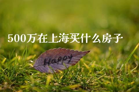 500万在上海买什么房子_https://wap.sdxiaoxijinshu.com_理财_第1张