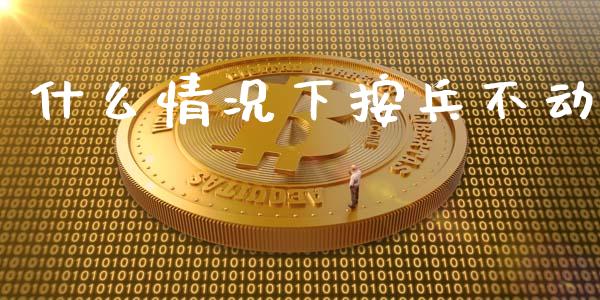 什么情况下按兵不动_https://wap.sdxiaoxijinshu.com_财经_第1张