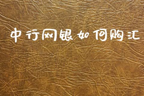 中行网银如何购汇_https://wap.sdxiaoxijinshu.com_财经_第1张
