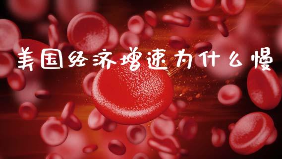 美国经济增速为什么慢_https://wap.sdxiaoxijinshu.com_财经_第1张