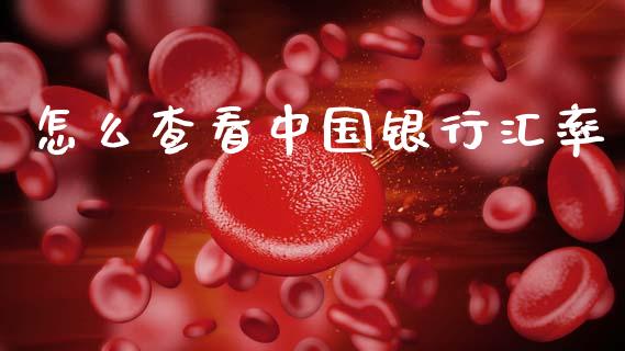 怎么查看中国银行汇率_https://wap.sdxiaoxijinshu.com_财经_第1张