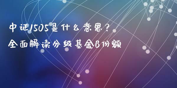 中证1505是什么意思？全面解读分级基金B份额_https://wap.sdxiaoxijinshu.com_金融_第1张