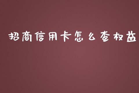 招商信用卡怎么查权益_https://wap.sdxiaoxijinshu.com_金融_第1张