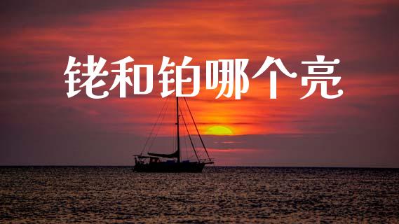 铑和铂哪个亮_https://wap.sdxiaoxijinshu.com_金融_第1张