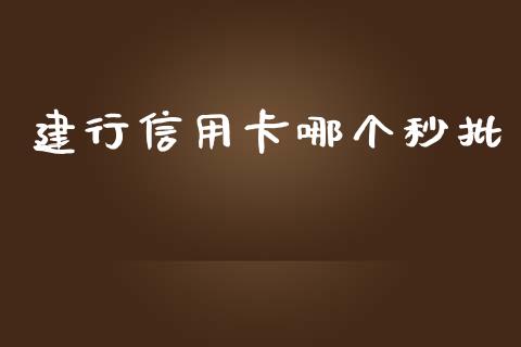 建行信用卡哪个秒批_https://wap.sdxiaoxijinshu.com_理财_第1张