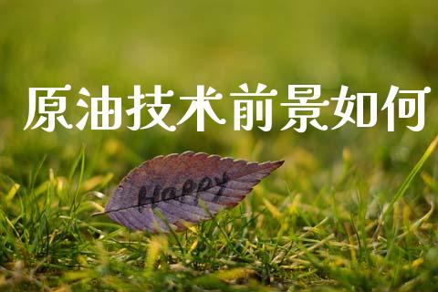 原油技术前景如何_https://wap.sdxiaoxijinshu.com_财经_第1张