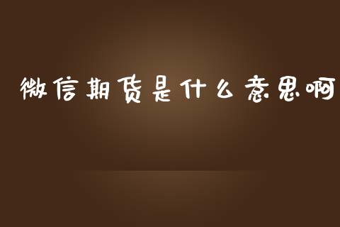 微信期货是什么意思啊_https://wap.sdxiaoxijinshu.com_期货_第1张