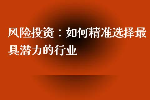 风险投资：如何精准选择最具潜力的行业_https://wap.sdxiaoxijinshu.com_理财_第1张