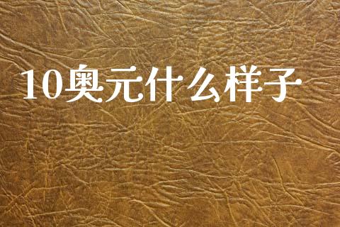 10奥元什么样子_https://wap.sdxiaoxijinshu.com_财经_第1张