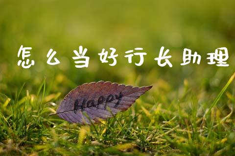 怎么当好行长助理_https://wap.sdxiaoxijinshu.com_期货_第1张
