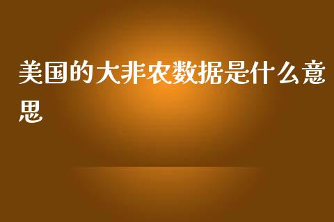 美国的大非农数据是什么意思_https://wap.sdxiaoxijinshu.com_财经_第1张