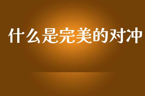 什么是完美的对冲_https://wap.sdxiaoxijinshu.com_期货_第1张