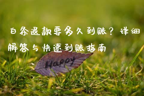 白条退款要多久到账？详细解答与快速到账指南_https://wap.sdxiaoxijinshu.com_金融_第1张