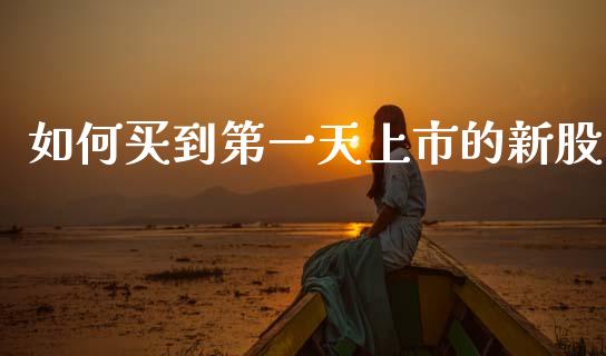 如何买到第一天上市的新股_https://wap.sdxiaoxijinshu.com_理财_第1张