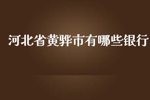 河北省黄骅市有哪些银行_https://wap.sdxiaoxijinshu.com_理财_第1张