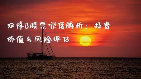 双禧B股票深度解析：投资价值与风险评估_https://wap.sdxiaoxijinshu.com_财经_第1张