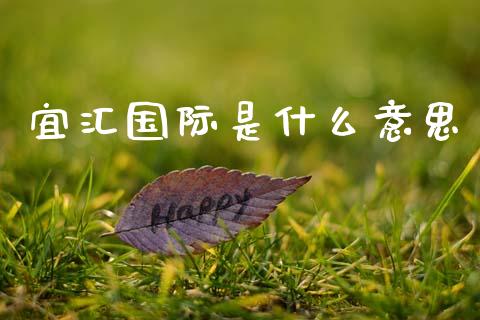 宜汇国际是什么意思_https://wap.sdxiaoxijinshu.com_财经_第1张