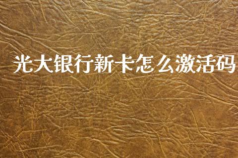 光大银行新卡怎么激活码_https://wap.sdxiaoxijinshu.com_金融_第1张