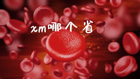xm哪个省_https://wap.sdxiaoxijinshu.com_财经_第1张