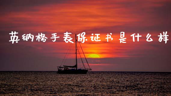 英纳格手表保证书是什么样_https://wap.sdxiaoxijinshu.com_金融_第1张