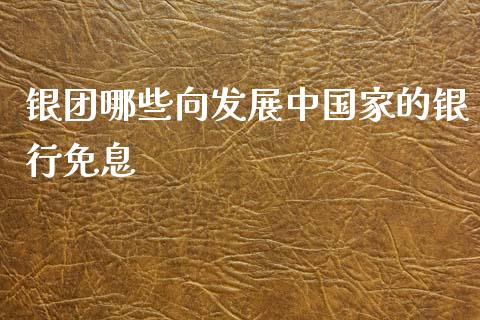 银团哪些向发展中国家的银行免息_https://wap.sdxiaoxijinshu.com_金融_第1张