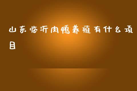 山东临沂肉鸭养殖有什么项目_https://wap.sdxiaoxijinshu.com_理财_第1张