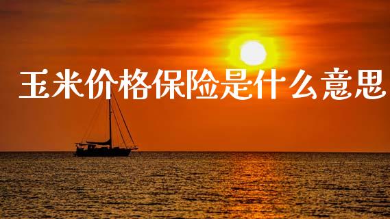 玉米价格保险是什么意思_https://wap.sdxiaoxijinshu.com_期货_第1张